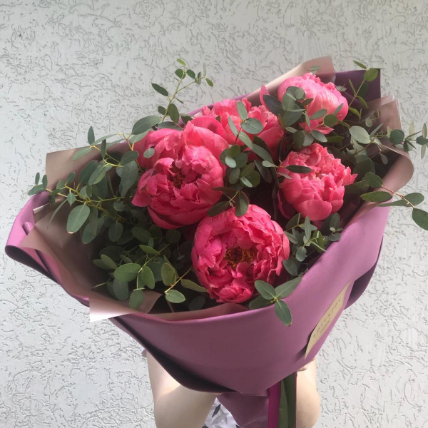 5 Коралловых Пионов