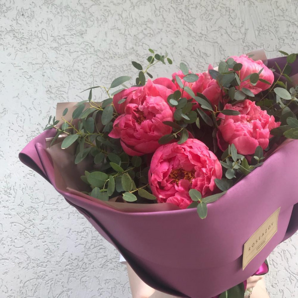 5 Коралловых Пионов